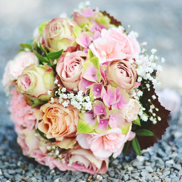 Meet your Posher, Mary - Picture 8 of 8